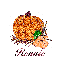 Autumn Pumpkin - Rennie