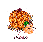 Autumn Pumpkin - Sara