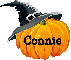 Pumpkin- Connie