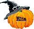 Pumpkin- Elia