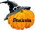 Pumpkin- Shakela
