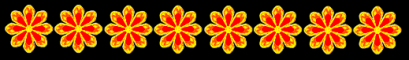 Dividir - orange flowers -