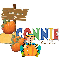 Connie - Pumpkins For Sale