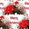 Christmas - background - xmas