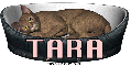 Cat bed Tara