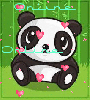 online panda