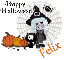 Happy Halloween - Felix