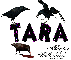 Tara Happy Halloween Crows