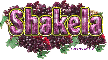 Shakela grapes