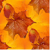 fall leaves tiled background