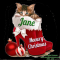 CHRISTMAS BOOTS - JANE