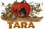 Tara Autumn Hedgehog