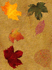 COLOR LEAVES BACKGROUNDS