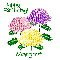 Stylized Chrysanthemums - November Birth Flower - Margret