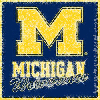 Michigan Wolverines ][V][