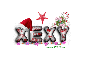CHRISTMAS DECOR - XEXY