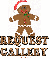 Gingerbread request gallery