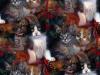 Christmas Cats tiled background