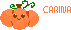 Carina Pixel Pumpkin