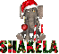 Shakela Christmas Elephant
