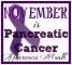 November is Pancreatic Cancer Awareness Month