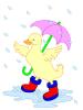 Rain Day Duck