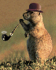 Squirrel  Smokes Pipe