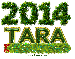 Tara 2014 New Year  Pine