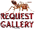 Ant request gallery