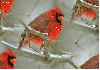 Winter Cardinal Seamless tiled background