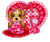 valentine puppy/I wuv you