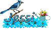 Jessi Spring Blue Jay