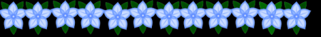 Divider-Flowers -Blue