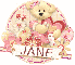 Jane Valentine Bear or Dog?