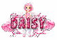 (OA) Daisy