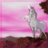 The last unicorn