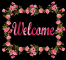 Pretty Roses -Welcome