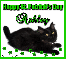 Patrick's Day Black Cat - Ashley