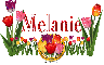 Melanie Tulip Garden