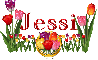 Jessi Tulip Garden