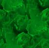 green roses seamless background