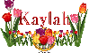Kaylah Tulip Garden