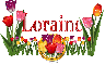 Loraine Tulip Garden