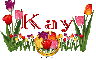 Kay Tulip Garden