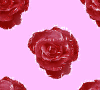 Rose - background