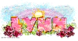Lynn-Spring pink roses