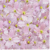 Purple spring flowers seamless background