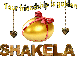 Shakela Golden Egg