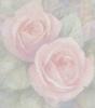 pink roses seamless background