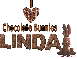 Linda Chocolate Bunny